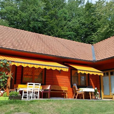 Ferienwohnung Nostalgie Ehrenhausen Exteriör bild