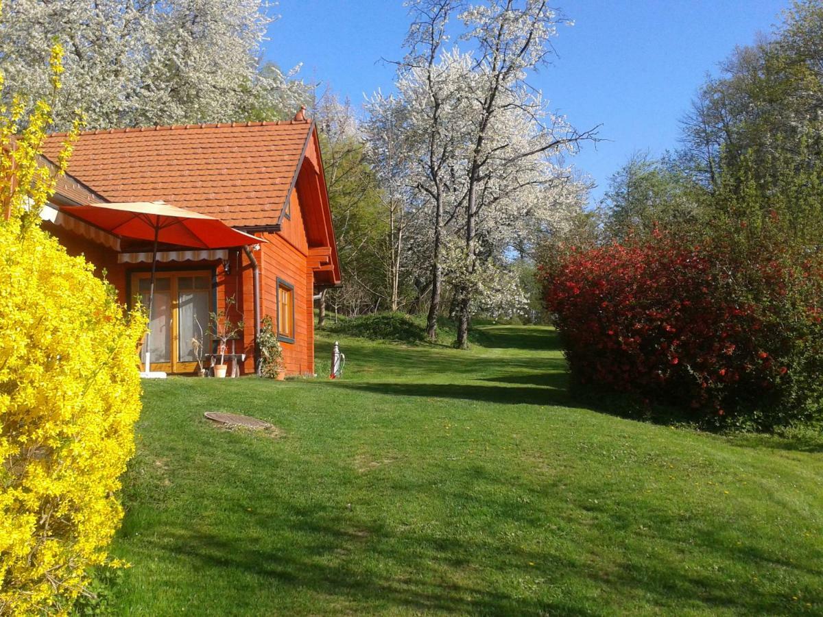 Ferienwohnung Nostalgie Ehrenhausen Exteriör bild